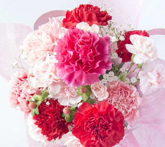 Mother's-Day-Carnations